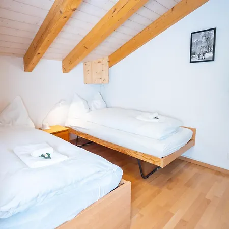 Wassermandli Apartment Lenk